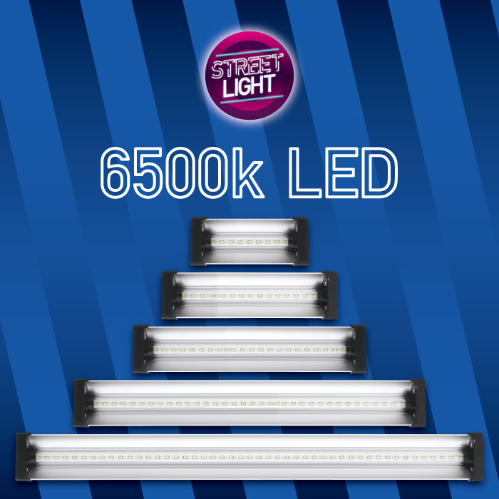 Street Light Blue LED 6500K 24w 60cm propagation light 