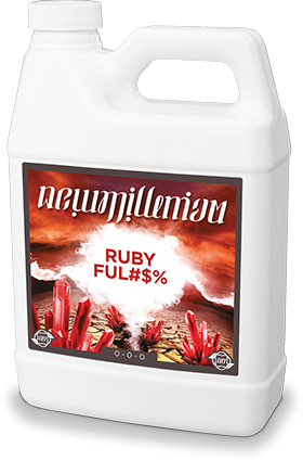 New Millennium - Ruby Ful#$%
